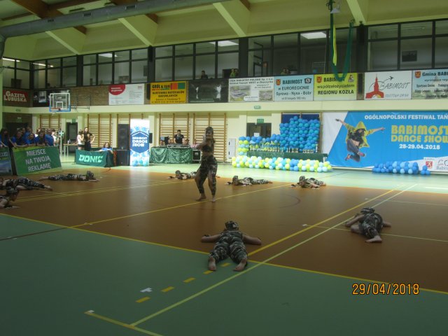turta 561